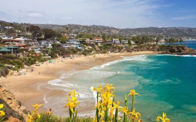 Orange County WordPress Web Design with Divi