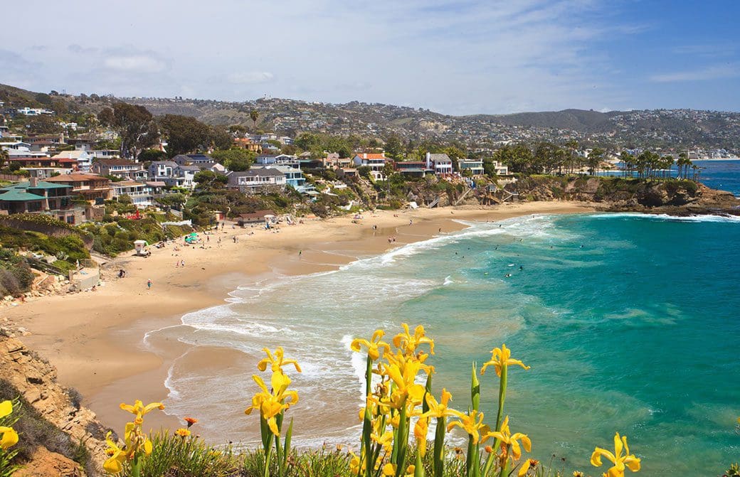 Orange County California. Website design companies in orange county california. Orange County WordPress Web Design. WordPress Website Design Orange County.