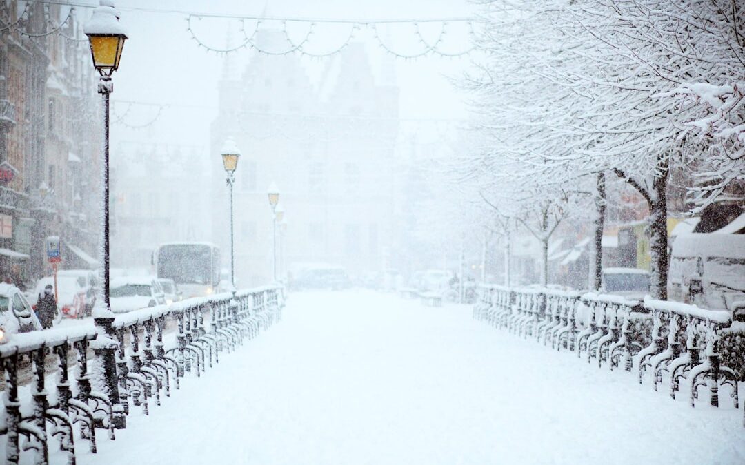 A street filled with snow presumably during winter time.