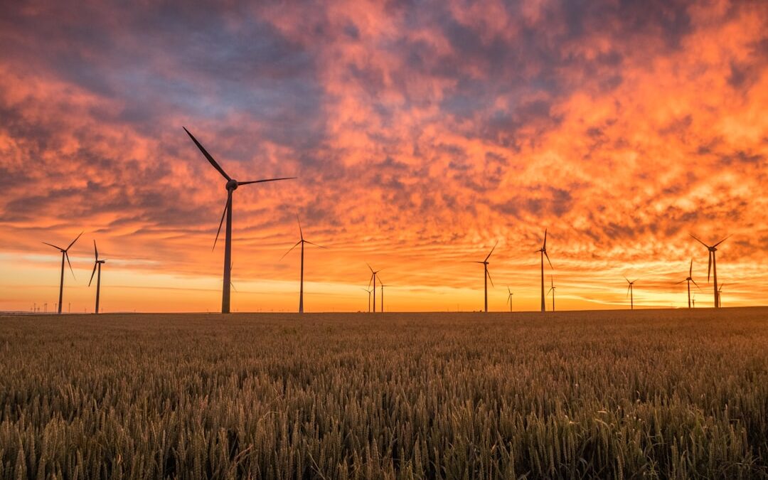 Windturbines in a valley.